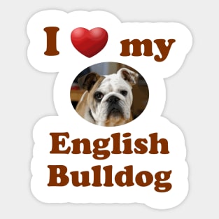 I Love My English Bulldog Sticker